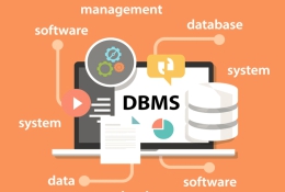 Datenbank-Entwicklung